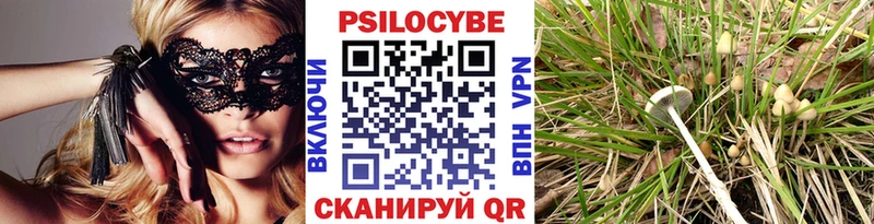 Галлюциногенные грибы прущие грибы  Партизанск 